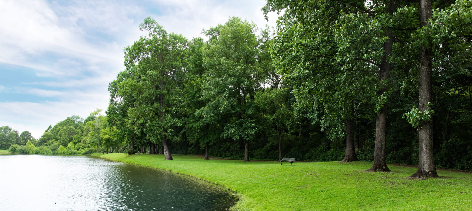 bench surrounded by trees by side of lake