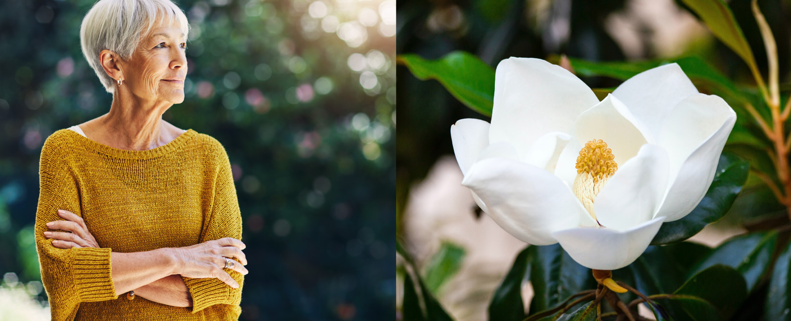 At left: woman looking to the right. At right: close up of a white flower.